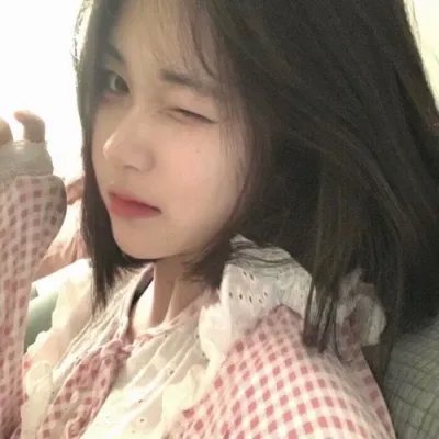 极地守护犬